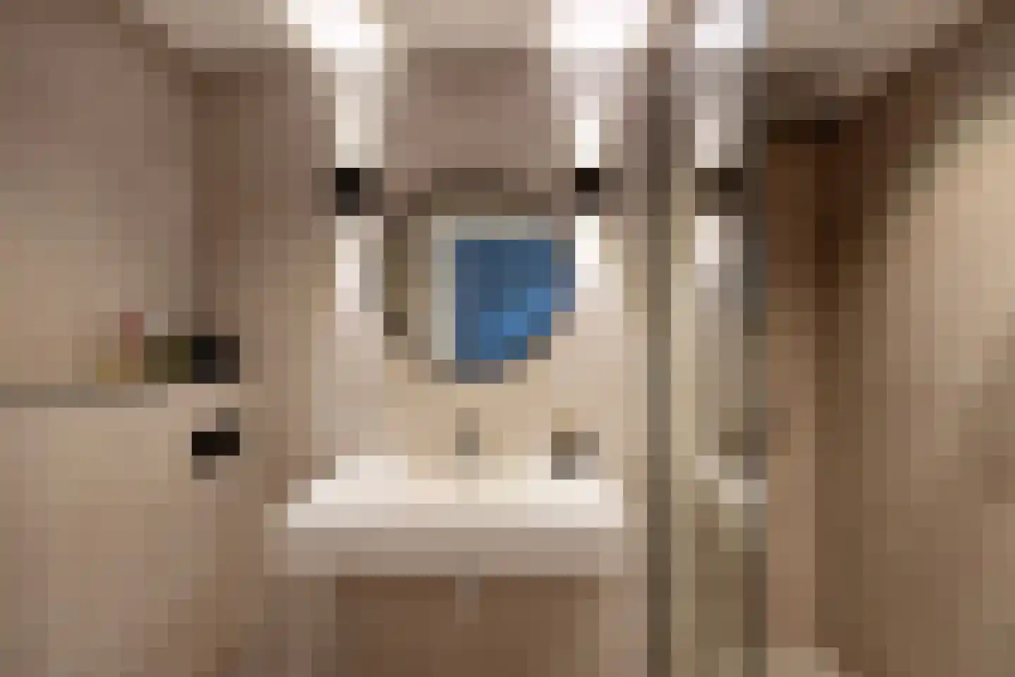 De Savornin Lohmanlaan 71 Den Haag thumbnail 6