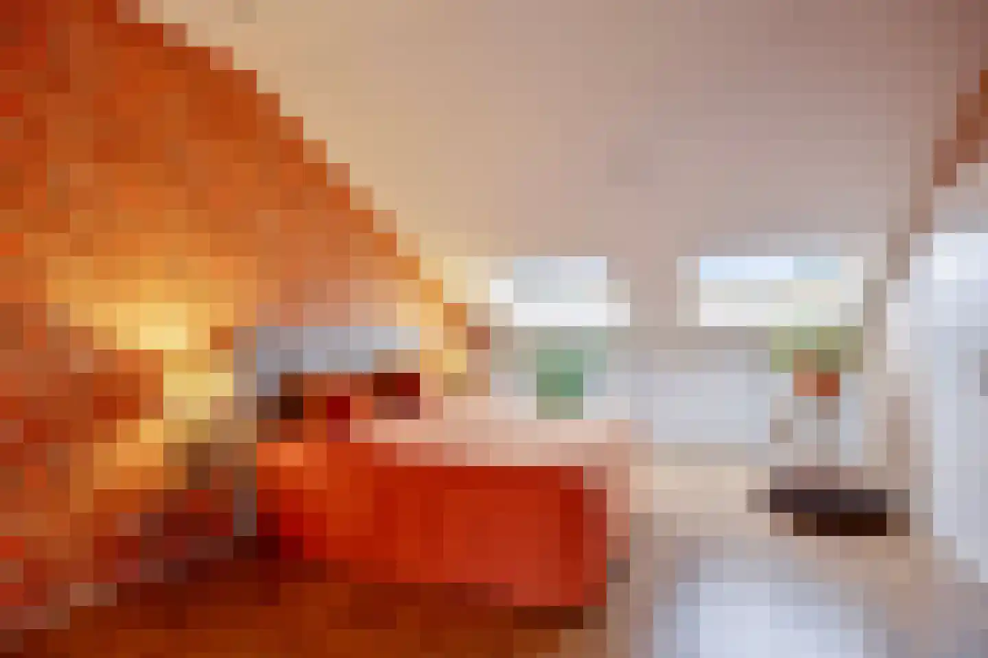 De Savornin Lohmanlaan 71 Den Haag thumbnail 7