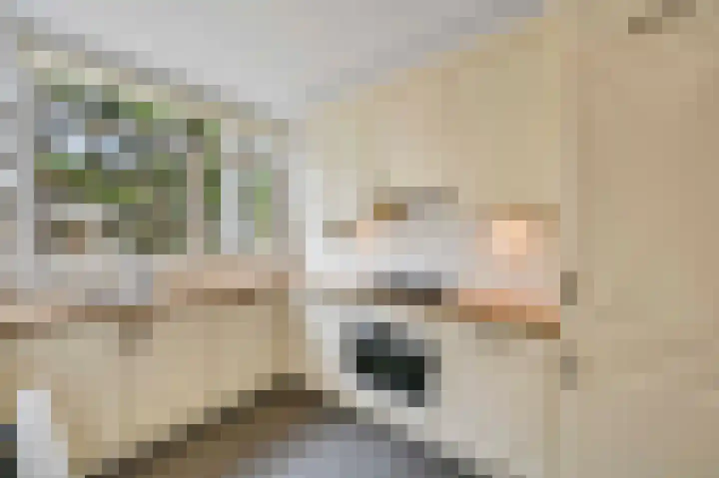 De Savornin Lohmanlaan 71 Den Haag thumbnail 9