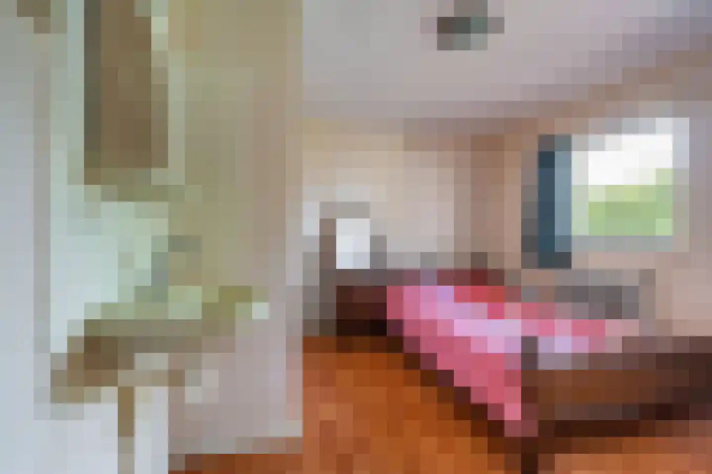 de Savornin Lohmanlaan 74 Oude Pekela thumbnail 40