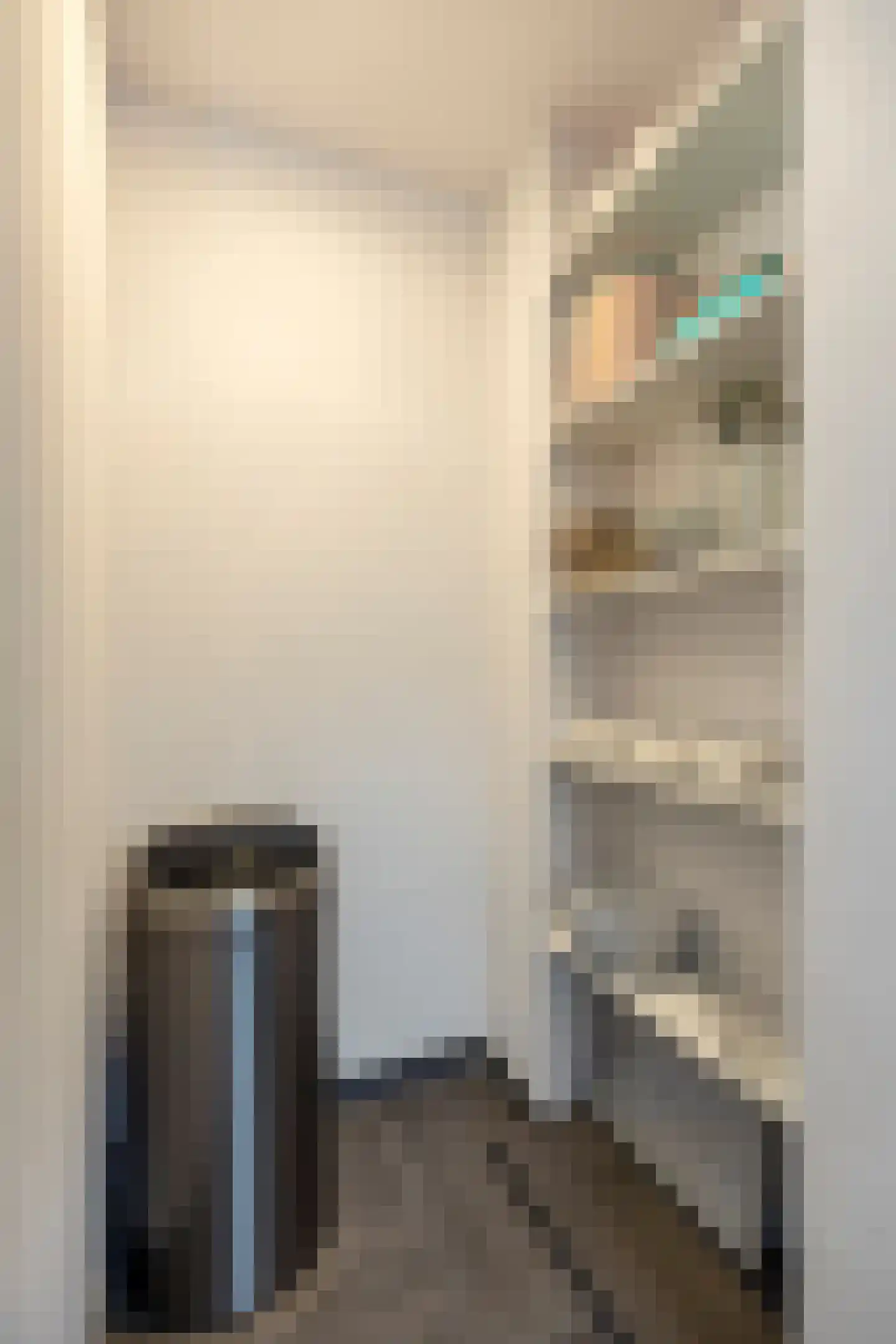 De Savornin Lohmanlaan 77 Den Haag thumbnail 17