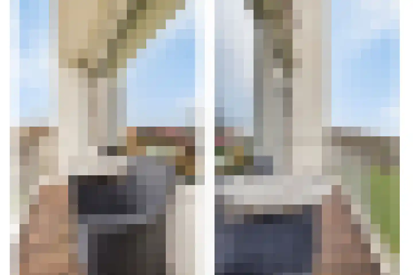 De Savornin Lohmanlaan 77 Den Haag thumbnail 31