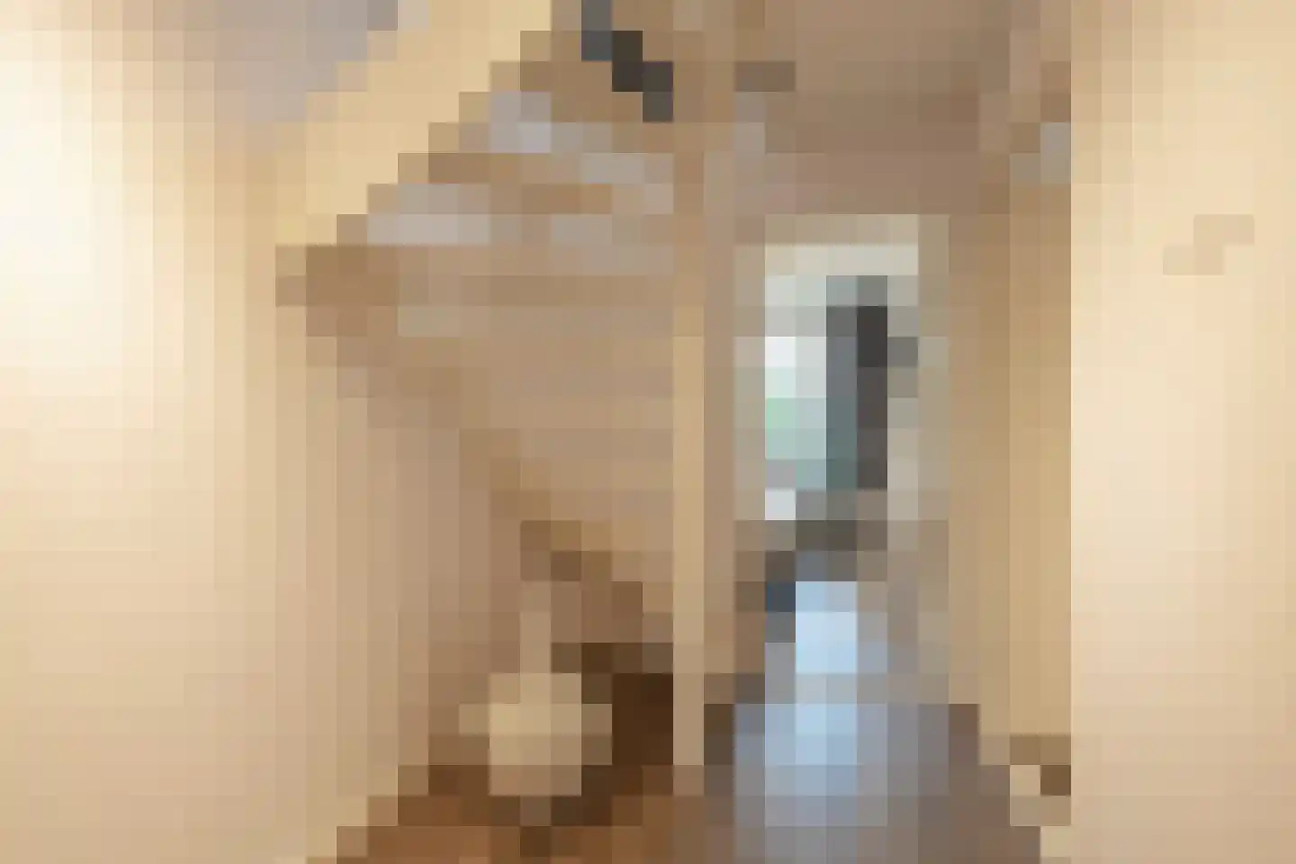 De Savornin Lohmanlaan 77 Den Haag thumbnail 34