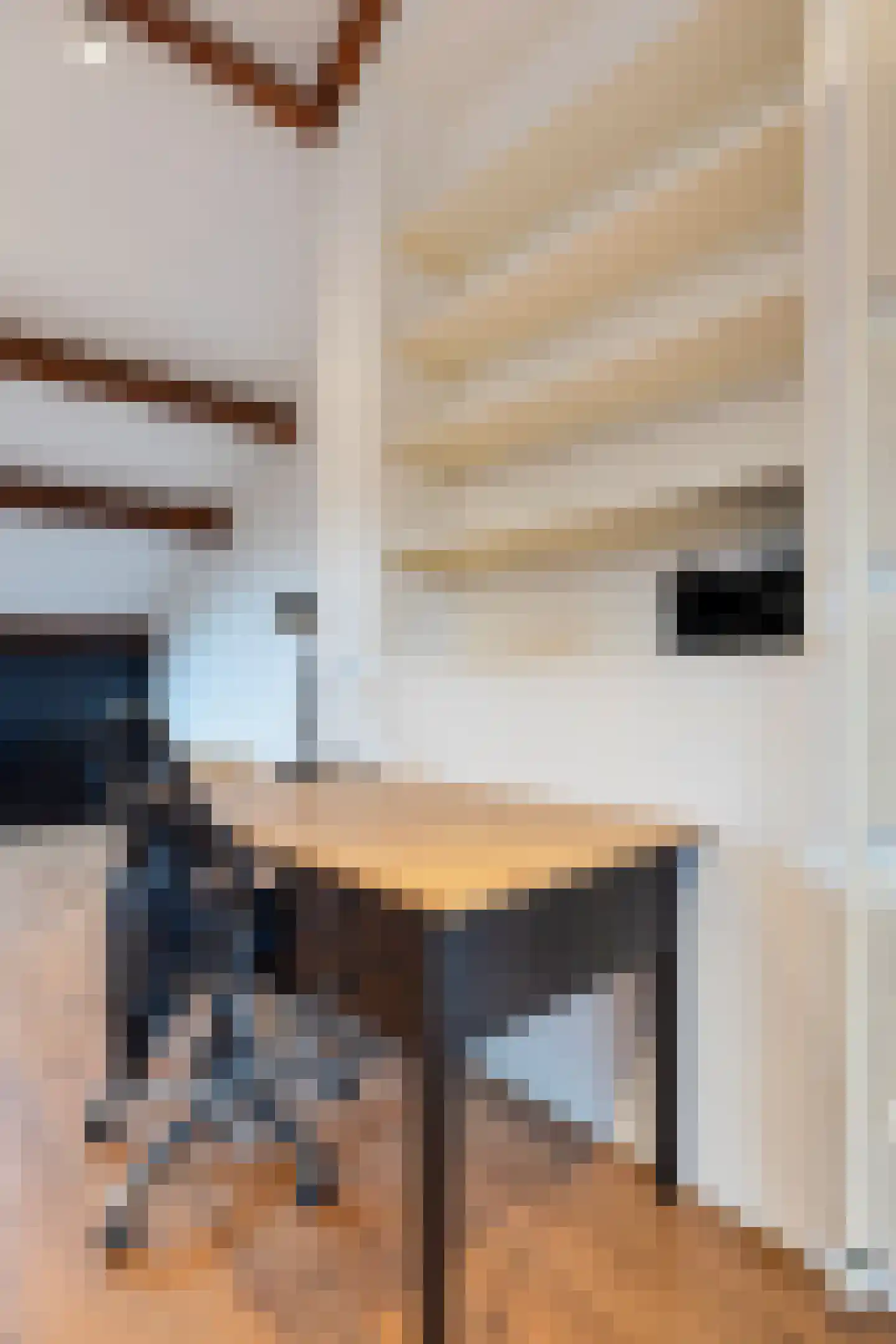 De Savornin Lohmanlaan 77 Den Haag thumbnail 47