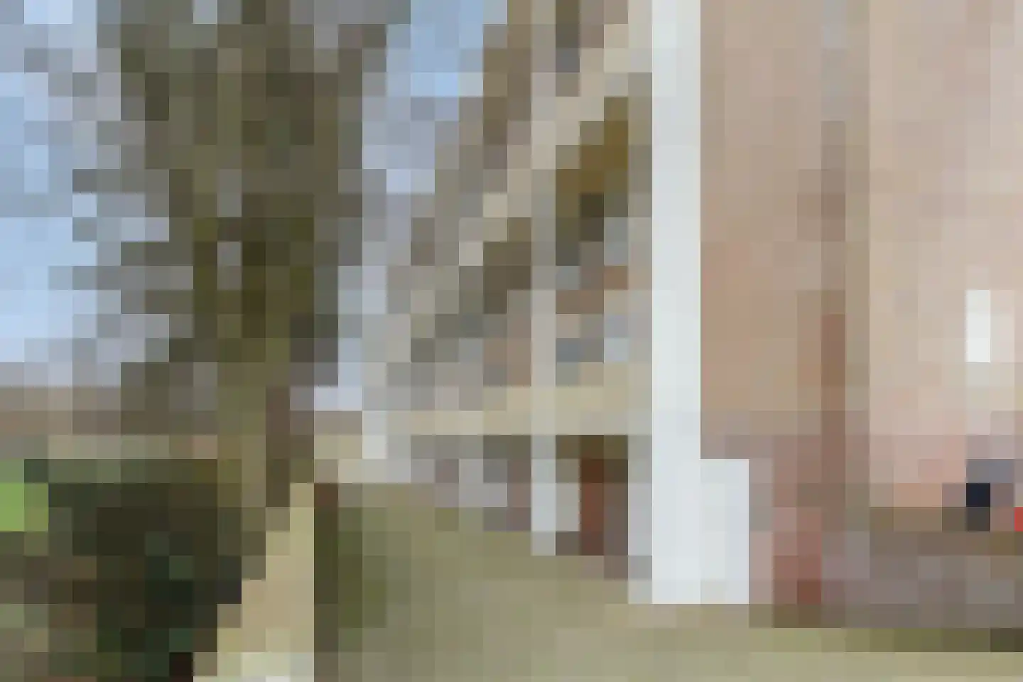De Savornin Lohmanlaan 77 Den Haag thumbnail 52