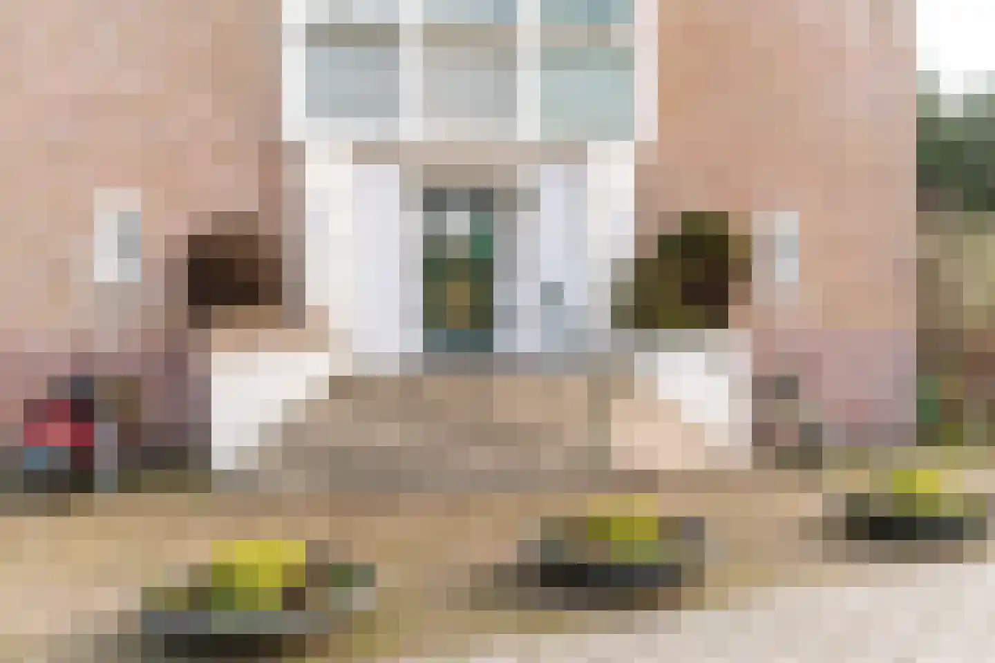 De Savornin Lohmanlaan 77 Den Haag thumbnail 9