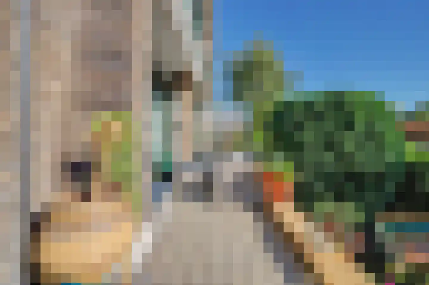 De Savornin Lohmanlaan 78 Den Haag thumbnail 34