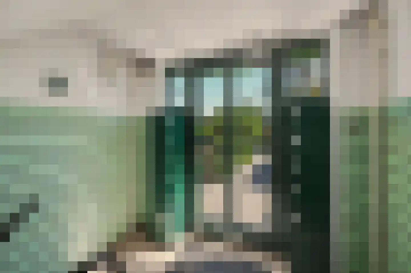 De Savornin Lohmanlaan 78 Den Haag thumbnail 5