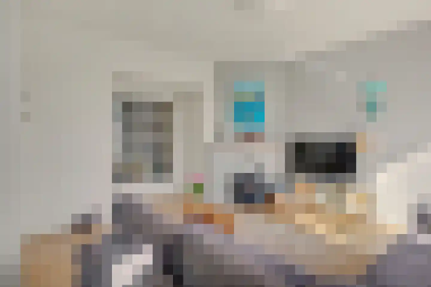 De Savornin Lohmanlaan 78 Den Haag thumbnail 8