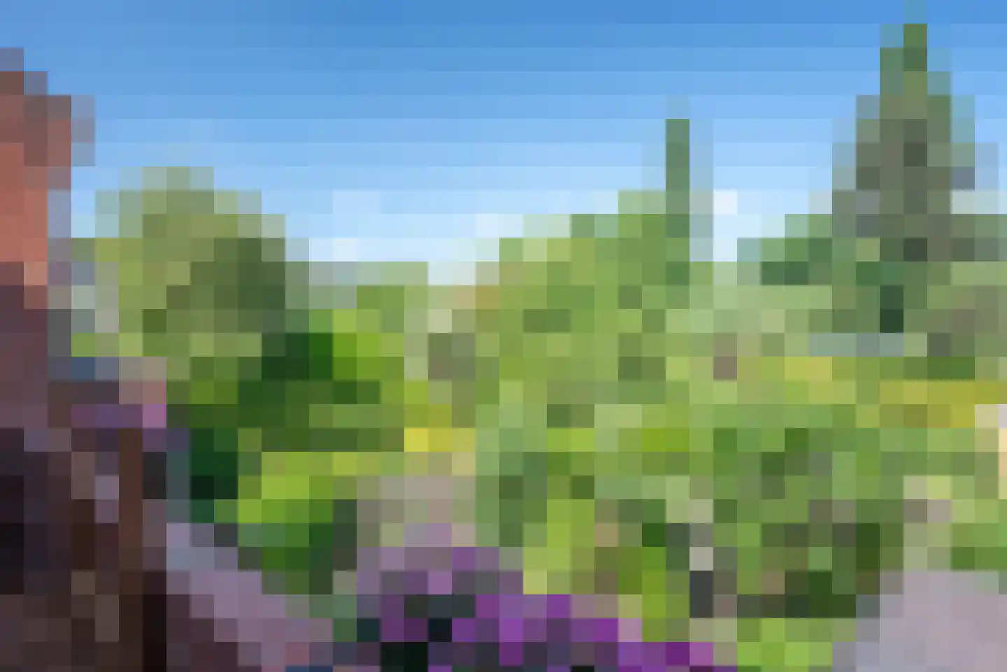 De Savornin Lohmanlaan 8 a Groningen thumbnail 33