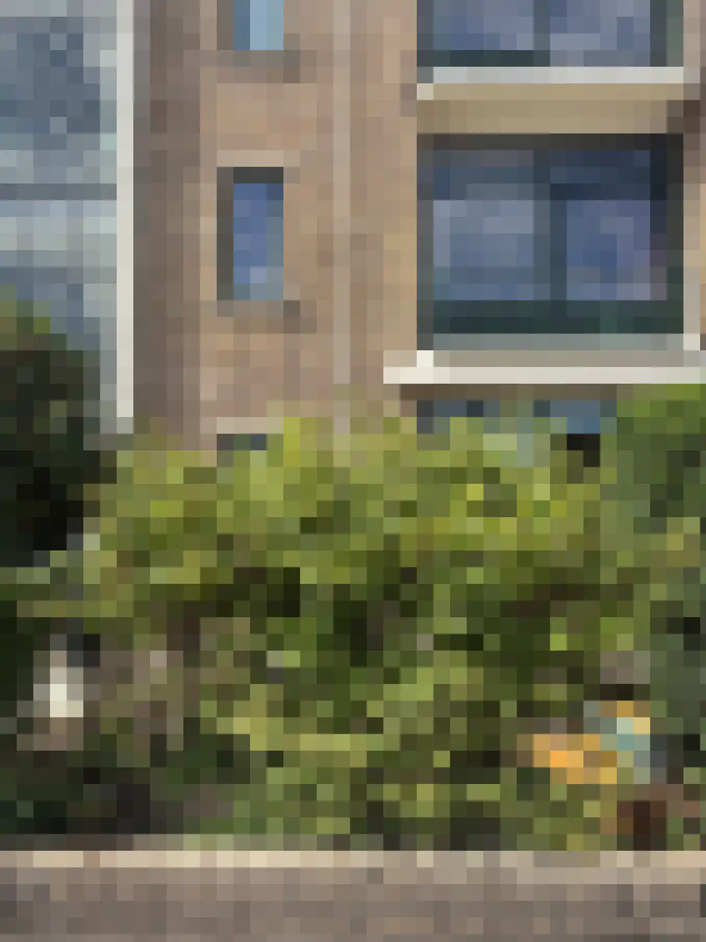 De Savornin Lohmanlaan 80 Den Haag thumbnail 4