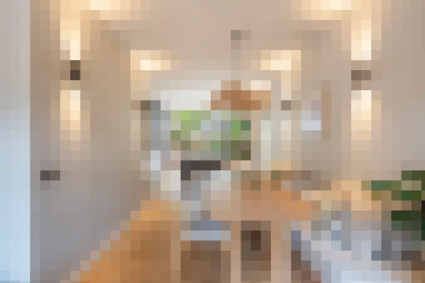 De Savornin Lohmanlaan 81 B 01 Rotterdam thumbnail 10