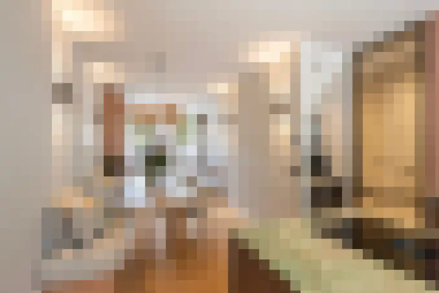 De Savornin Lohmanlaan 81 B 01 Rotterdam thumbnail 5