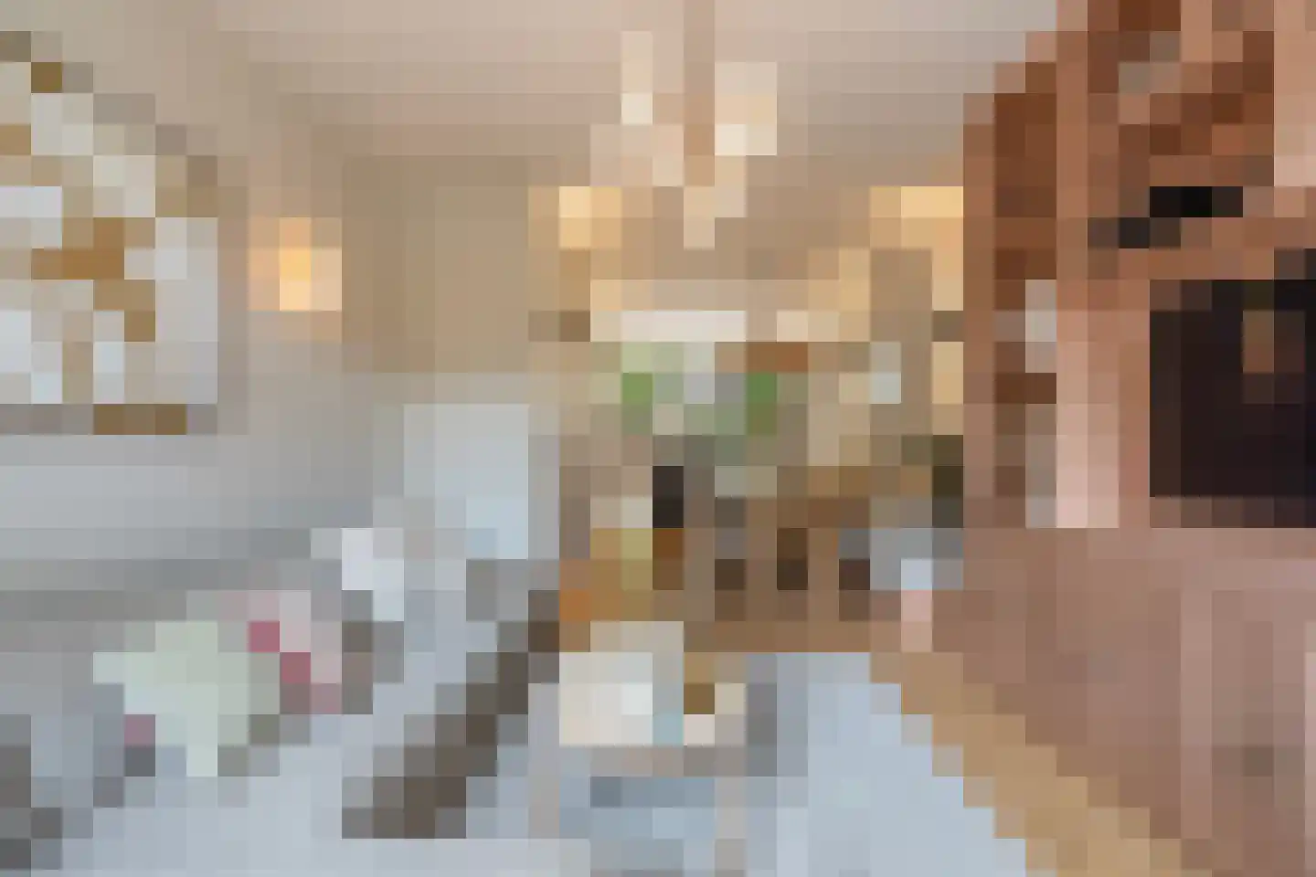 De Savornin Lohmanlaan 81 B 01 Rotterdam thumbnail 8