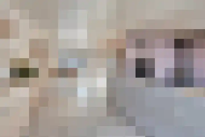 De Savornin Lohmanlaan 83 Vlijmen thumbnail 10