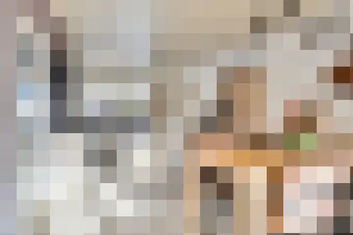 De Savornin Lohmanlaan 83 Vlijmen thumbnail 11