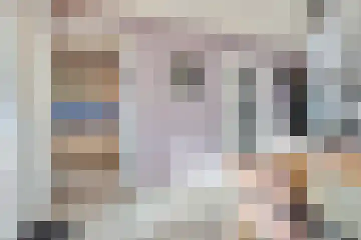 De Savornin Lohmanlaan 83 Vlijmen thumbnail 12