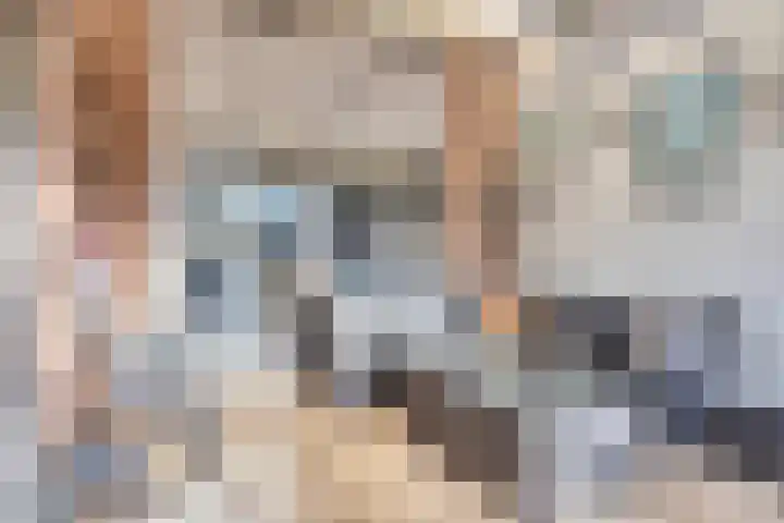 De Savornin Lohmanlaan 83 Vlijmen thumbnail 17