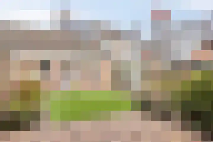 De Savornin Lohmanlaan 83 Vlijmen thumbnail 35