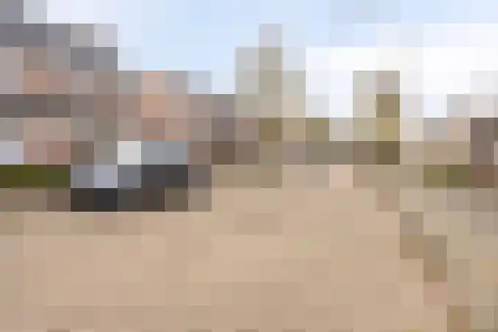 De Savornin Lohmanlaan 83 Vlijmen thumbnail 39