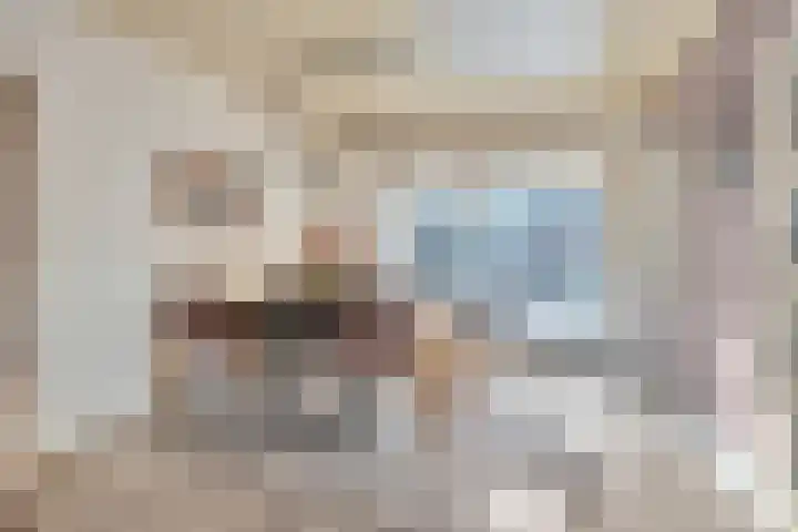 De Savornin Lohmanlaan 83 Vlijmen thumbnail 4