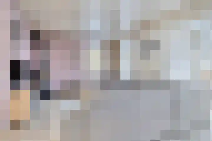 De Savornin Lohmanlaan 83 Vlijmen thumbnail 7