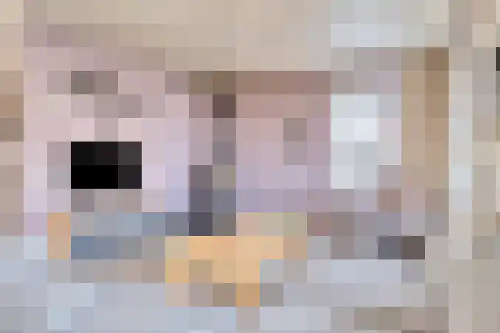 De Savornin Lohmanlaan 83 Vlijmen thumbnail 9
