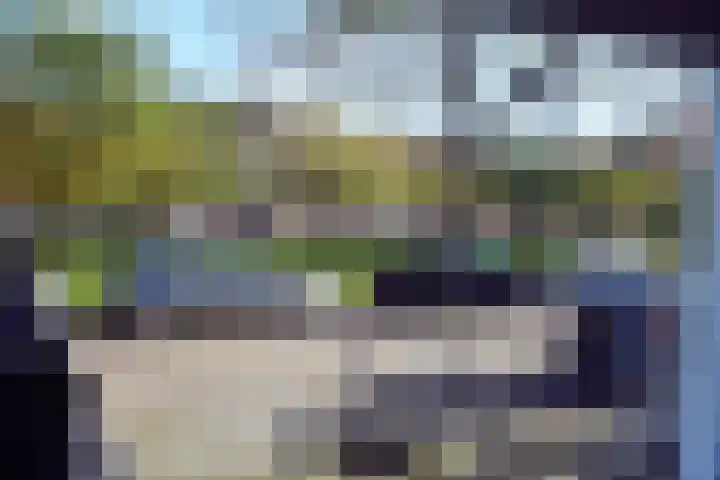 De Savornin Lohmanlaan 85 B 01 Rotterdam thumbnail 15
