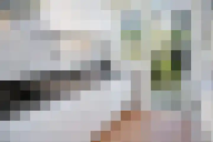 De Savornin Lohmanlaan 85 B 01 Rotterdam thumbnail 23