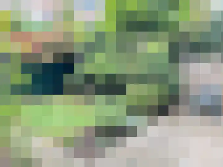 De Savornin Lohmanlaan 85 B 01 Rotterdam thumbnail 24