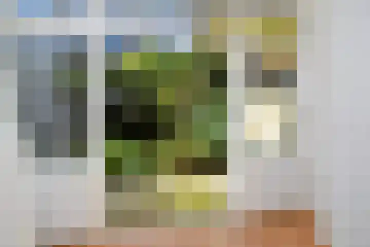 De Savornin Lohmanlaan 85 B 01 Rotterdam thumbnail 5