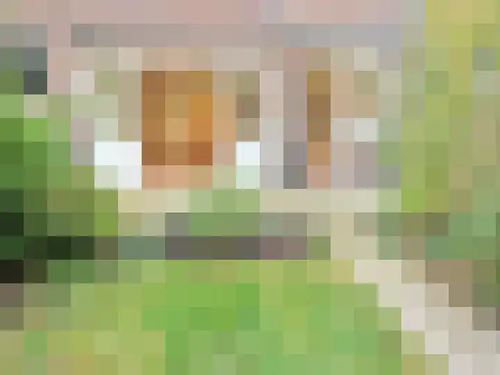 De Savornin Lohmanlaan 85 B 01 Rotterdam thumbnail 7