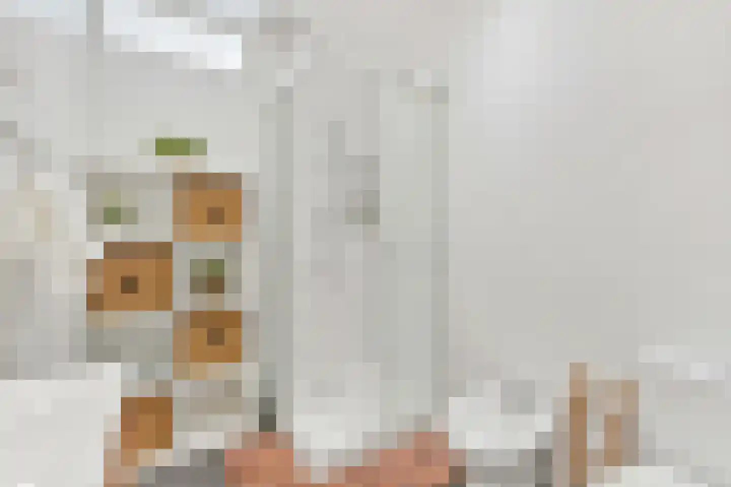 De Savornin Lohmanlaan 86 A Rotterdam thumbnail 19