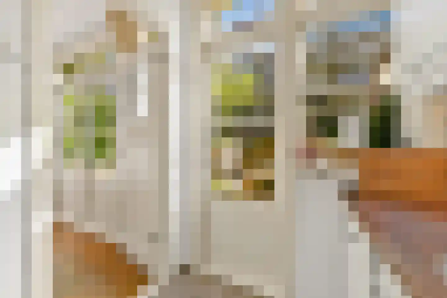 De Savornin Lohmanlaan 86 B 02 Rotterdam thumbnail 13