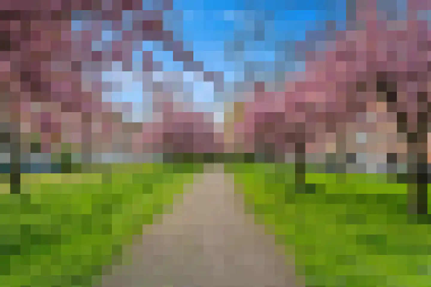 De Savornin Lohmanlaan 86 B 02 Rotterdam thumbnail 25