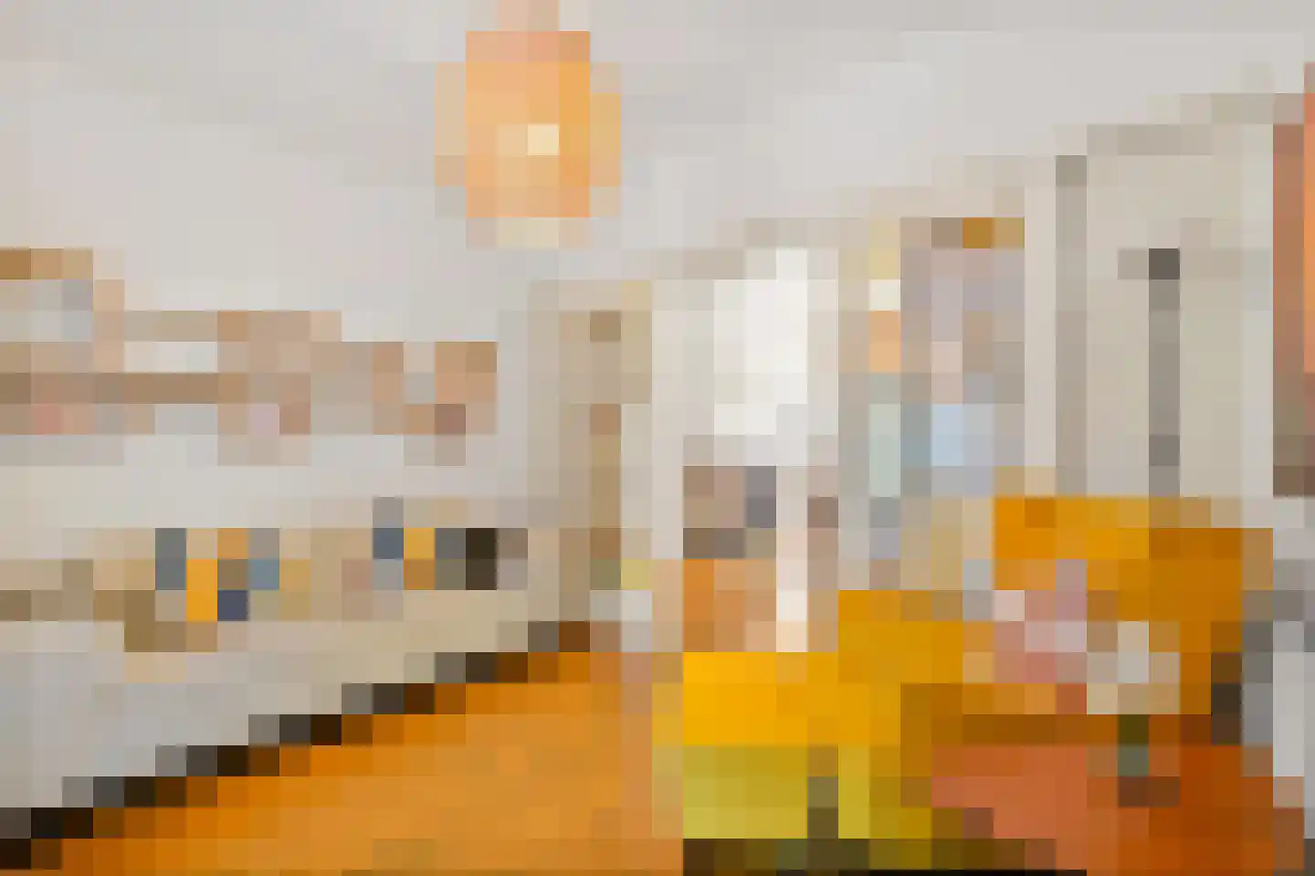 De Savornin Lohmanlaan 86 B 02 Rotterdam thumbnail 8