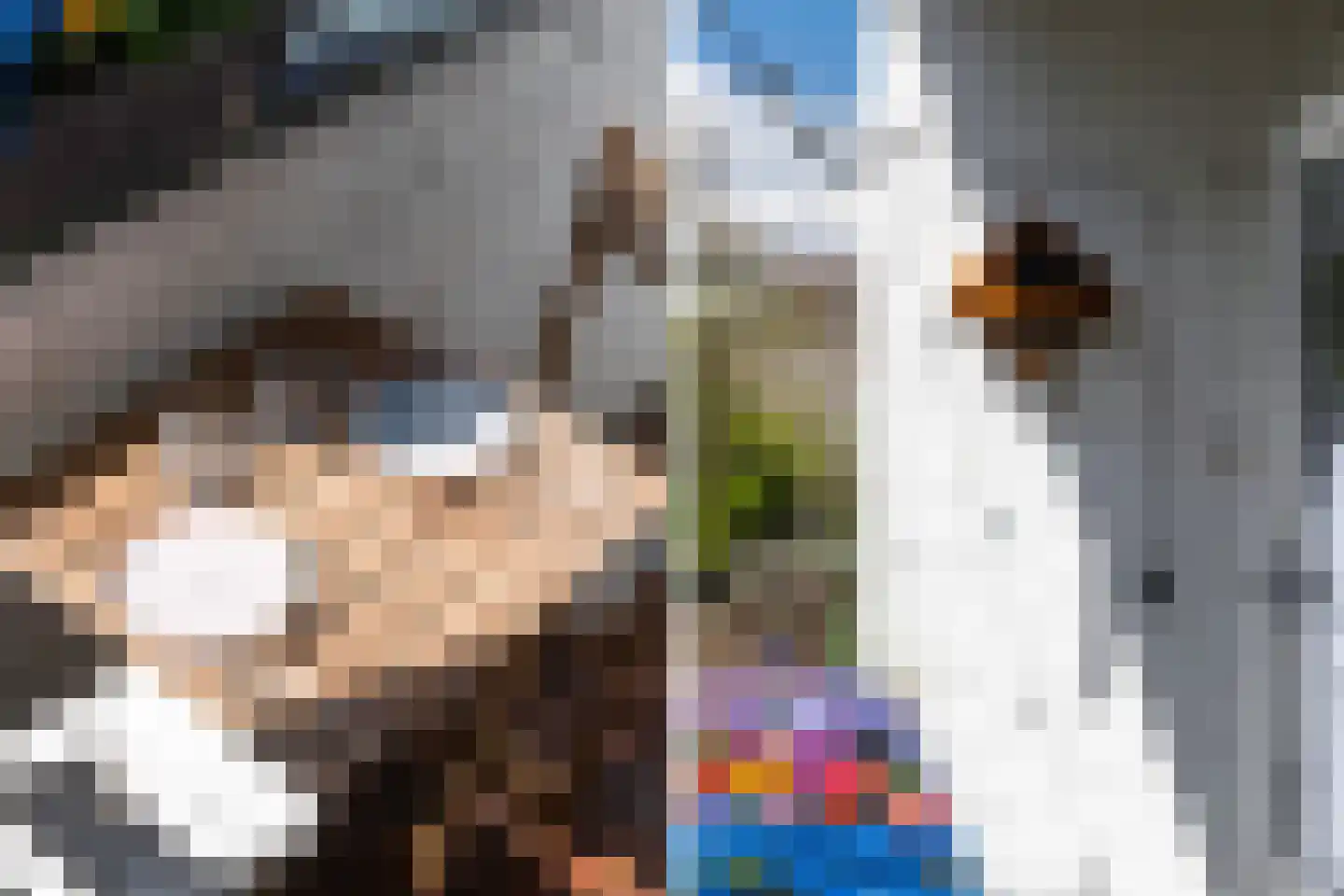 De Savornin Lohmanlaan 89 B 02 Rotterdam thumbnail 21