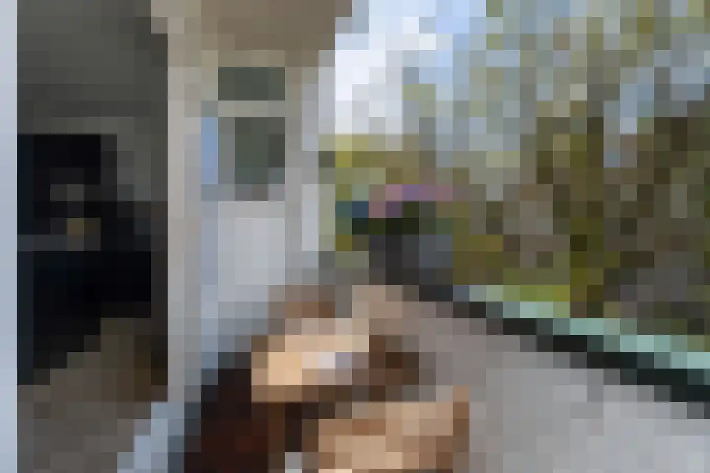 De Savornin Lohmanlaan 89 B 02 Rotterdam thumbnail 22
