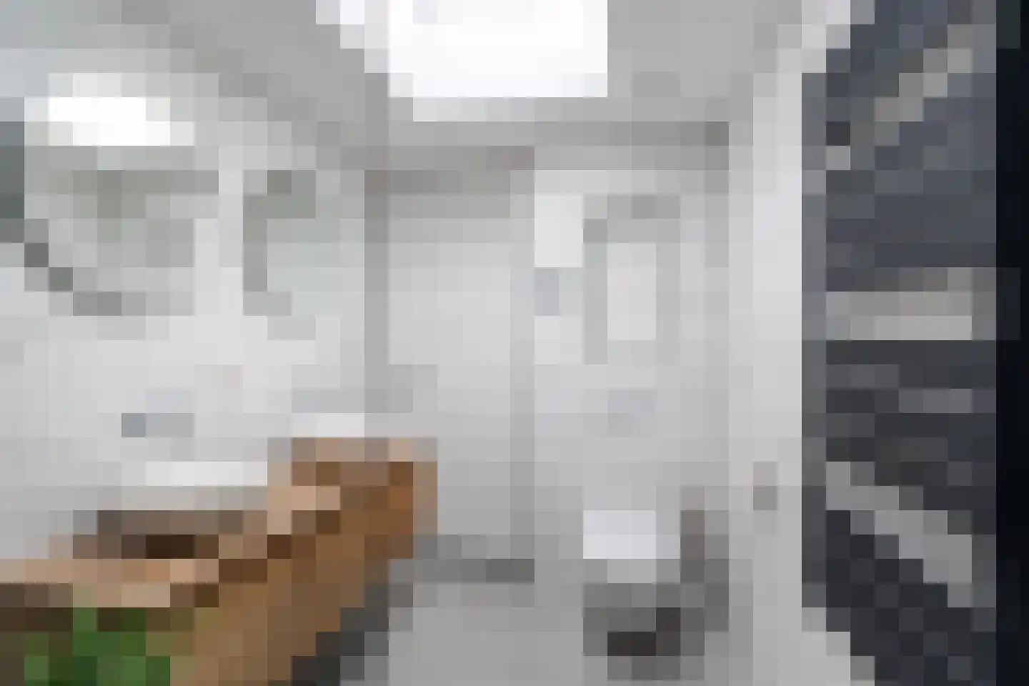 De Savornin Lohmanlaan 89 B 02 Rotterdam thumbnail 36