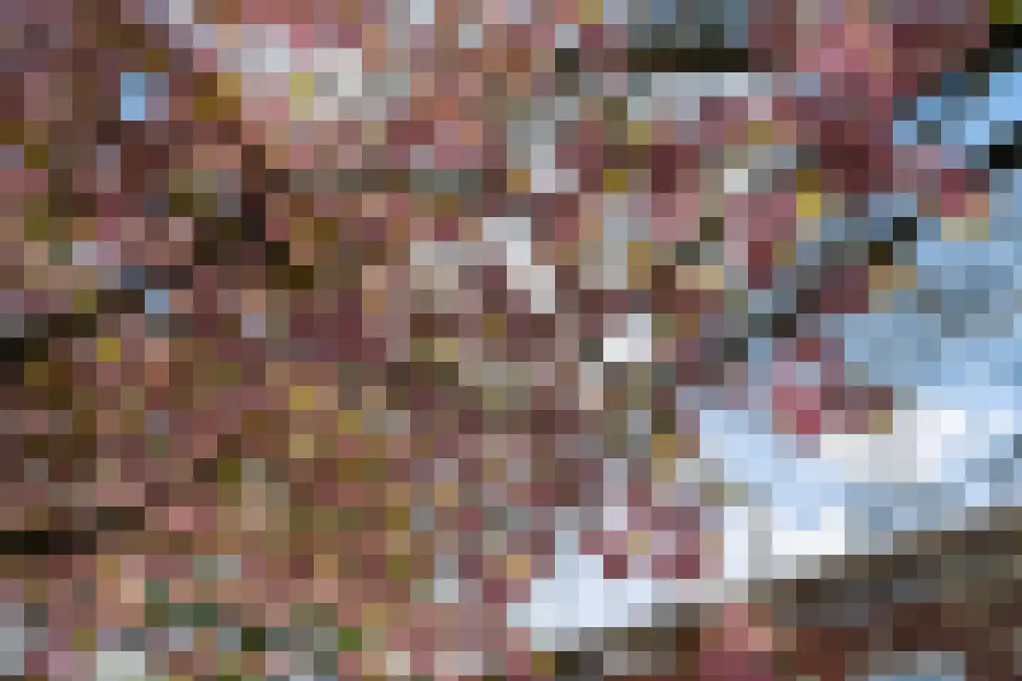 De Savornin Lohmanlaan 89 B 02 Rotterdam thumbnail 39