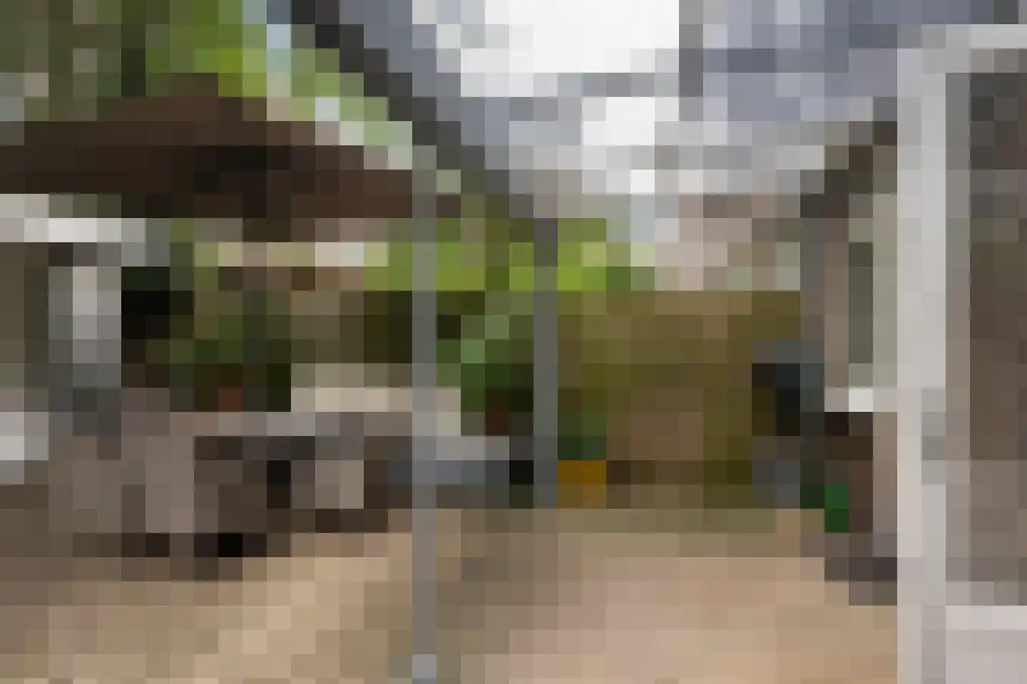 De Savornin Lohmanlaan 91 B Rotterdam thumbnail 15