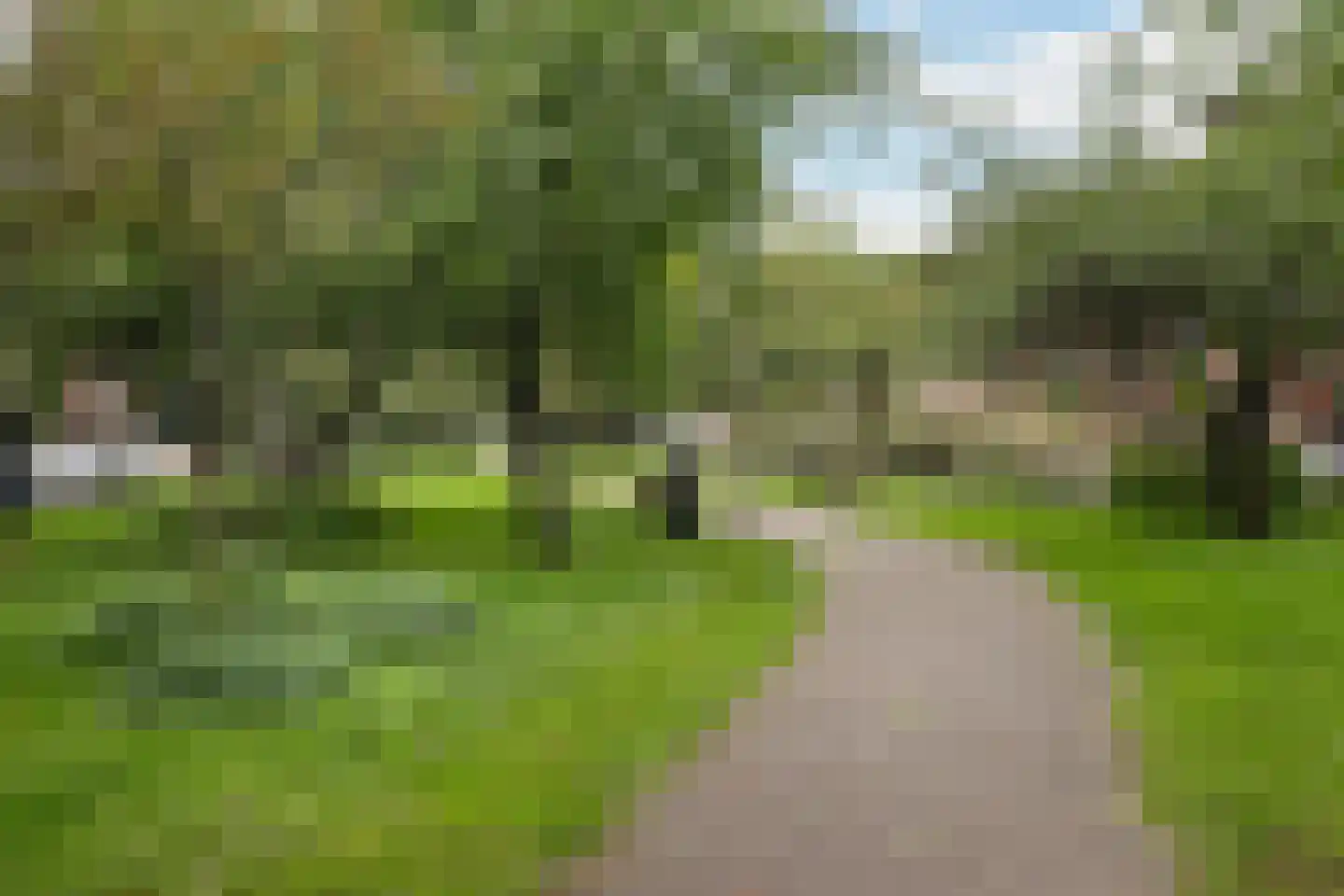 De Savornin Lohmanlaan 91 B Rotterdam thumbnail 18
