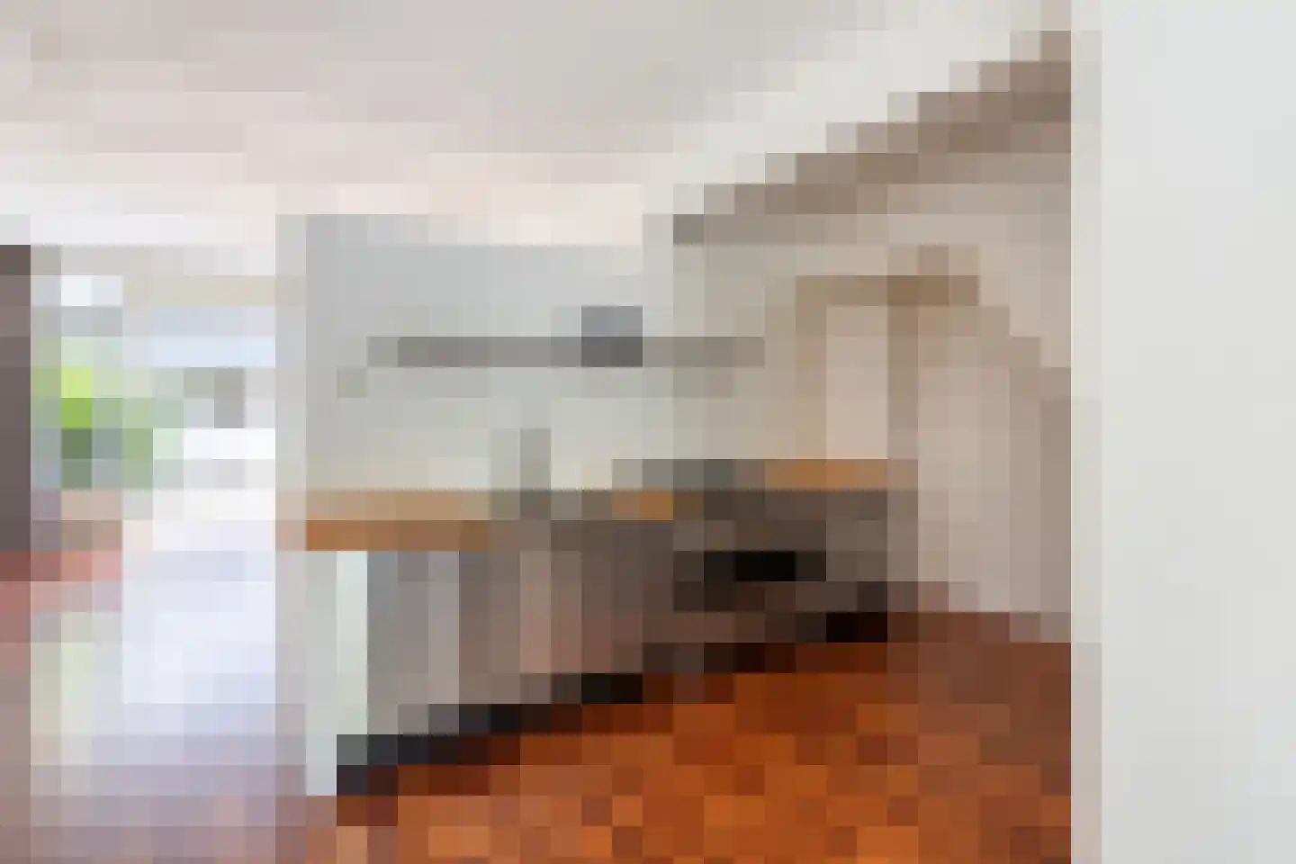 De Savornin Lohmanlaan 91 B Rotterdam thumbnail 8