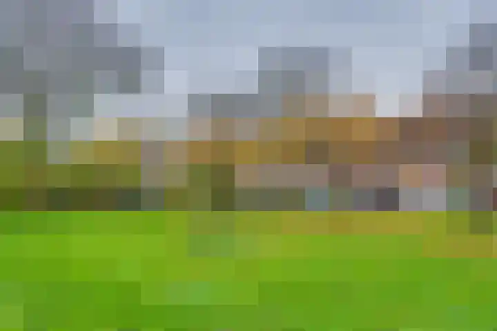 De Savornin Lohmanlaan 92 A 01 Rotterdam thumbnail 22