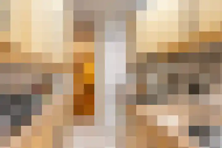 De Savornin Lohmanlaan 97 B 02 Rotterdam thumbnail 10