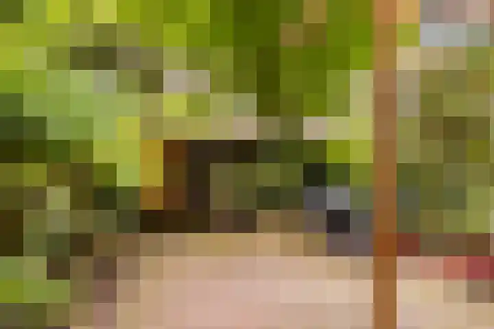 De Savornin Lohmanlaan 97 B 02 Rotterdam thumbnail 13