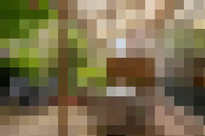 De Savornin Lohmanlaan 97 B 02 Rotterdam thumbnail 14