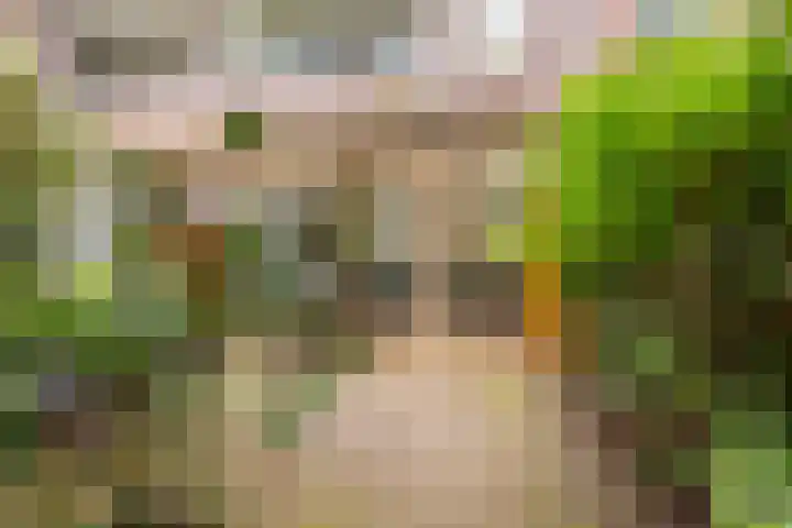 De Savornin Lohmanlaan 97 B 02 Rotterdam thumbnail 15