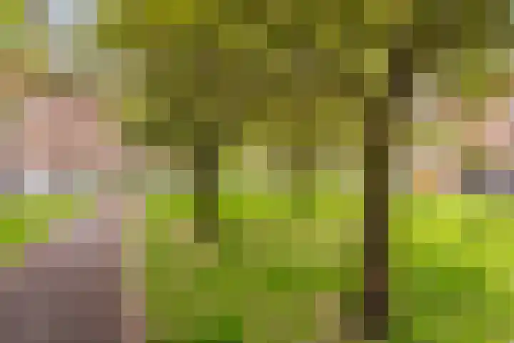 De Savornin Lohmanlaan 97 B 02 Rotterdam thumbnail 16