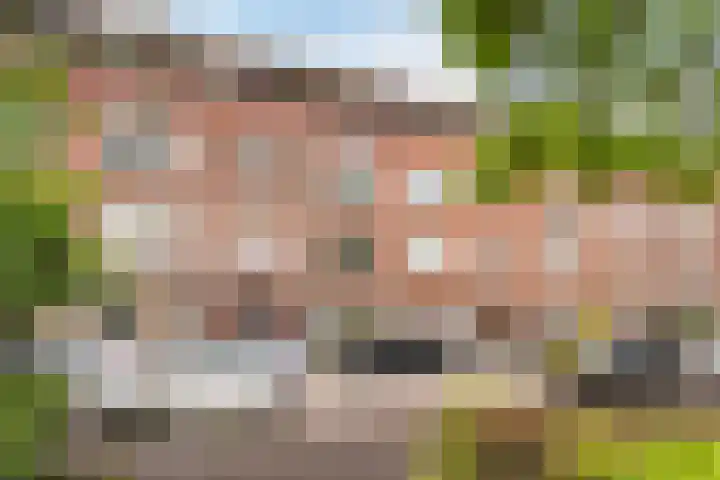 De Savornin Lohmanlaan 97 B 02 Rotterdam thumbnail 18